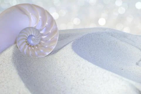 Nautilus shell cut Stock-Fotos