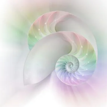 Nautilus shell cut Stock Photos