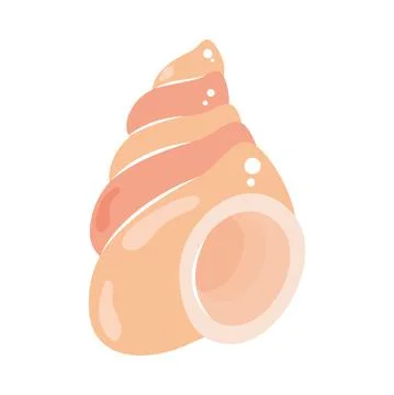 Nautilus shell icon Stock Illustration