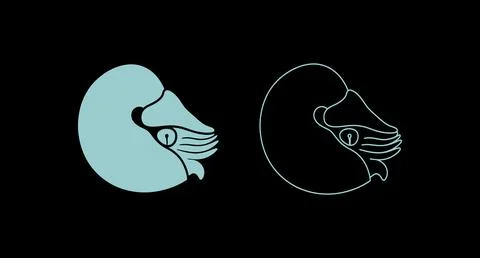 Nautilus shell icons in solid and line art styles on black background Stock Illustration