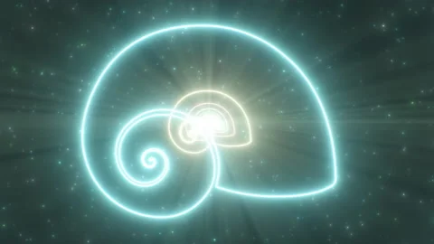 Nautilus Shell Ocean Seashell Shape Outline Neon Lights Tunnel Portal Stock Footage 173103076