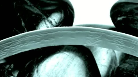 Nautilus shell split in two against black stones Stock Footage 21308529