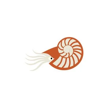 Nautilus Shell Vector Icon: Flat Marine Animal Sign Illustration Stock Illustration