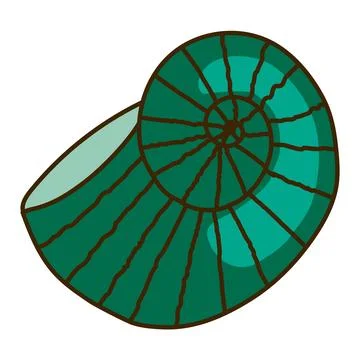 Nautilus, snail seashell hand drawn illustration 스톡 일러스트