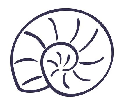 Nautilus, snail seashell hand drawn illustration Stock Illustration