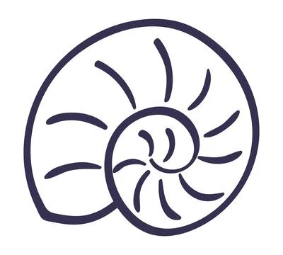 Nautilus, snail seashell hand drawn illustration Stock Illustration