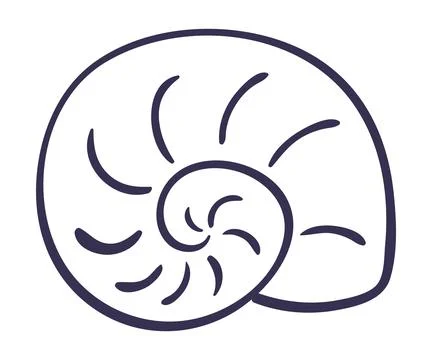 Nautilus, snail seashell hand drawn illustration Stock Illustration