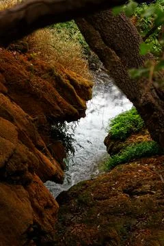 Nautre in wilderness Stock Photos