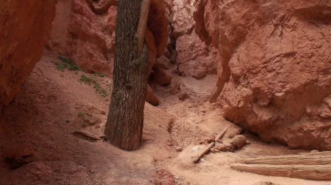 Navajo Loop 6 Stock Footage 678034