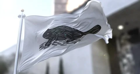 Naval ensign of new york 1775 flag waving-seamless-loop-4k-60fps Stock Footage 345588137