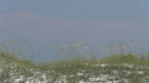 Navarre Beach Dune Stock Footage 129721884