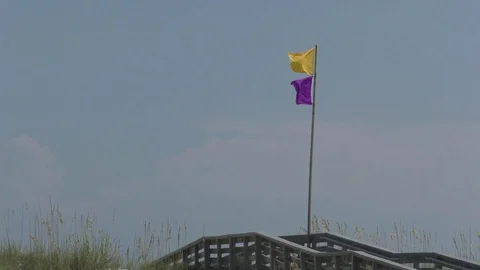 Navarre Beach Dune Stock Footage 129722054