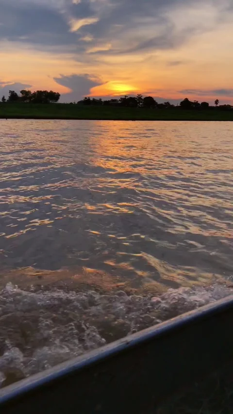 Navigating the Amazon 2 Видео 296449259