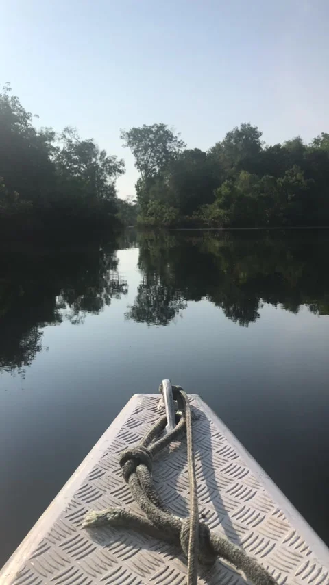 Navigating the Amazon Stock Footage 296449287
