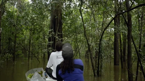 Navigating in flooded forest Stock Footage 52513223