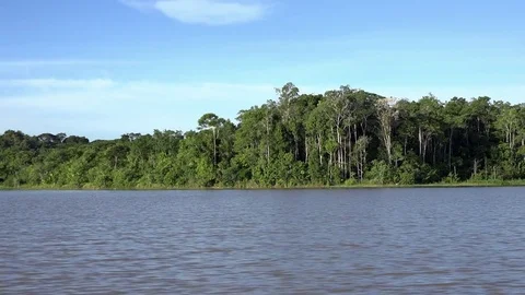 Navigating the Madeira River Stock Footage 77250921