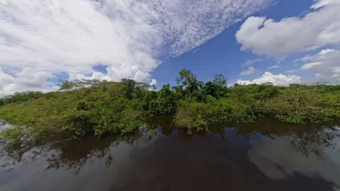 Navigating Through the Bolivian Amazon River Basin in Rurrenabaque Stock Footage 346448480
