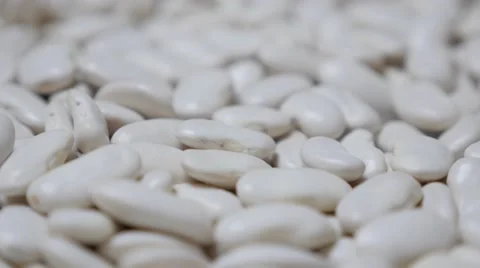 Navy beans also known as haricot beans raw food close-up Stock Footage 67193182