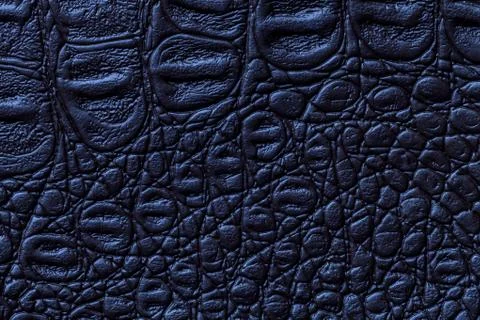 Navy blue leather texture background, closeup. Reptile skin, macro. Stock Photos