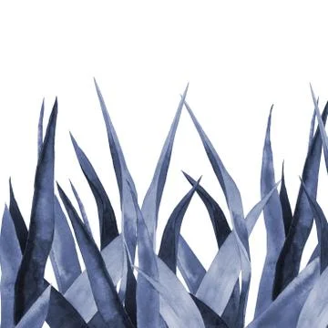 Navy blue plant border with empty space. Agave leaves. Design for website Stock Illustration