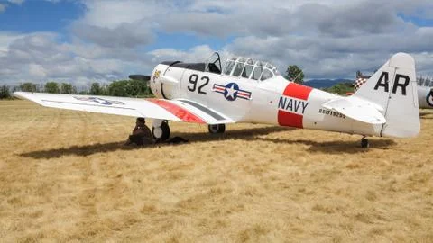 Navy Texan Fotos Stock