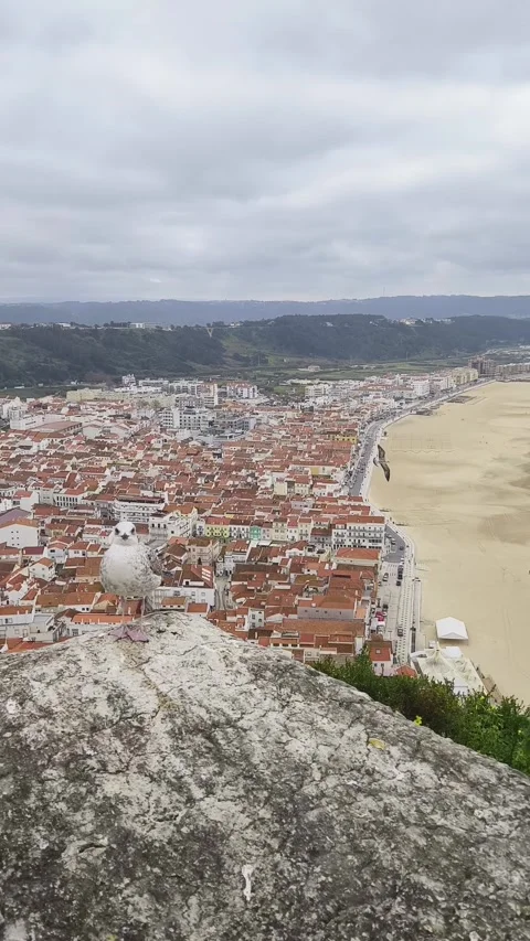 Nazare Stock Footage 269127022