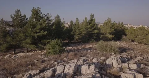 Nazareth Stock Footage 105309810