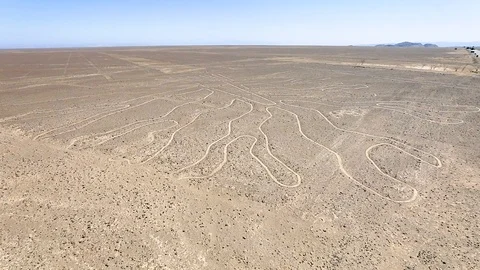 Nazca lines the big tree and the desert peru Stock Footage
