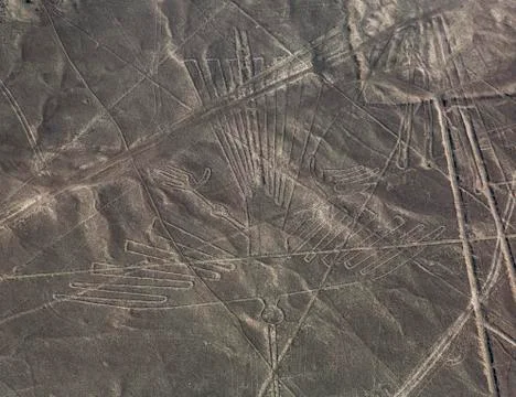 Nazca Lines - The Condor Stock Photos