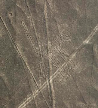 Nazca Lines - The Dog Stock Photos