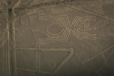 Nazca lines image of big spider Stock Photos