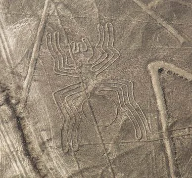 Nazca Lines - The Spider Stock Photos
