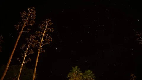 Nazca, Peru Night Sky Time lapse Stock Footage 77512635