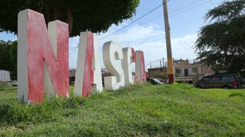 Nazca sighn Stock Footage 64872699