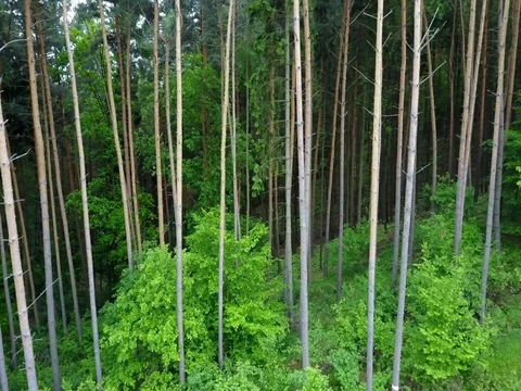 Nazev hodit sem 스톡 동영상 75979329