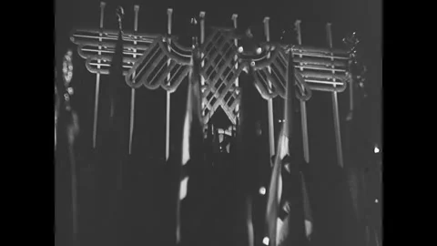 Nazis in Nuremberg Stock Footage 253677011