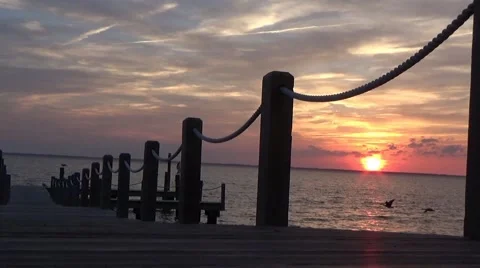 NC Sunset with geese Video stock 49633977