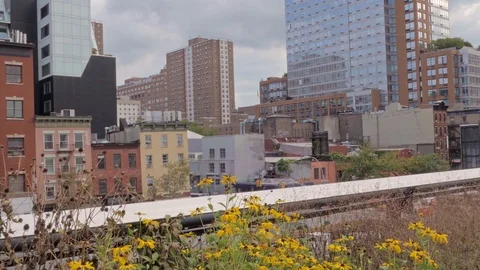 NCY highline view Video stock 82578942