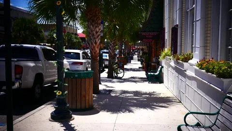 N.Donnelly St. MT Dora Florida. Stock Footage 219645778