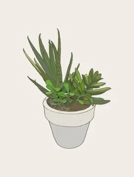 Ndoor plants in pots Stock Illustration