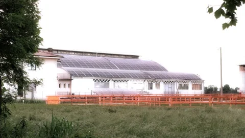 Ndustrial agricultural building with extensive rooftop solar panel array. Video stock 337564642