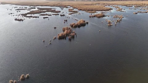 Neajlov Delta Stock Footage 260842627