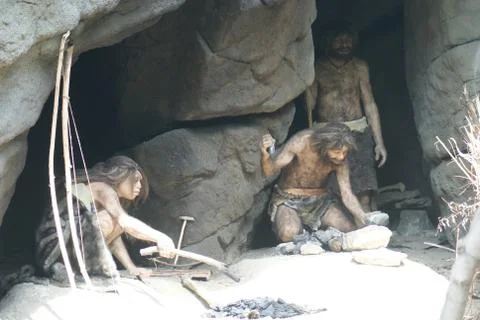Neanderthal - Homo neanderthalensis Stock Photos