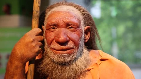 Neanderthal model figure in the Neandert... | Stock Video | Pond5