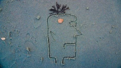 Neanderthal Shell 库存照片