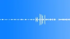 Near Forest - Birds and Toads (ambient, background loop)Sound Effect