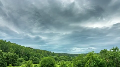 Near the forest in front of a thunderstorm time lapse Stock Footage 170392728