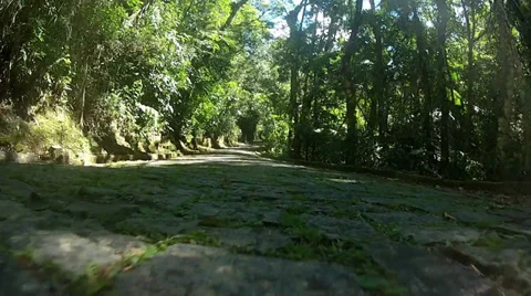 Near the ground Stock Footage