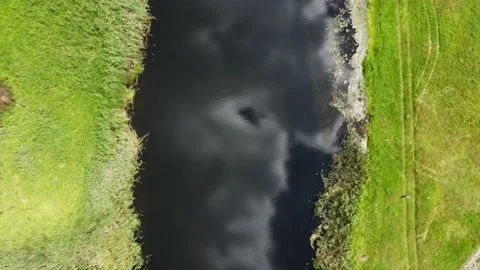 Near the river Stock Footage 160108244