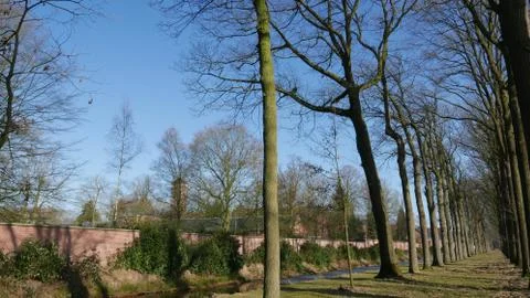 Near the wall of an abbey. 스톡 사진